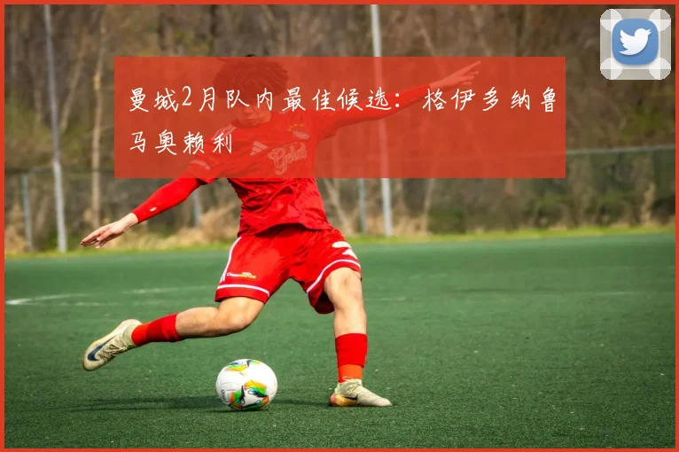 曼城2月队内最佳候选：格伊多纳鲁马奥赖利